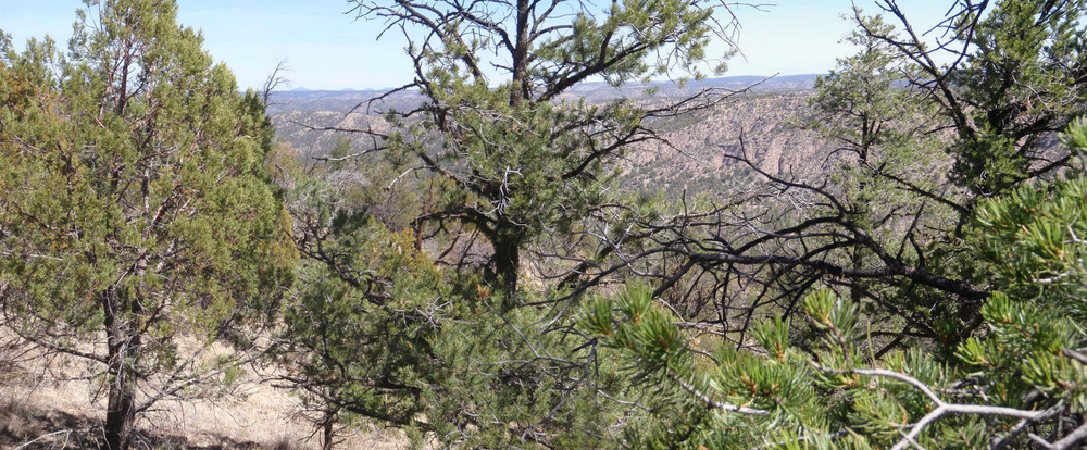 A view across the Diamond River Valley.